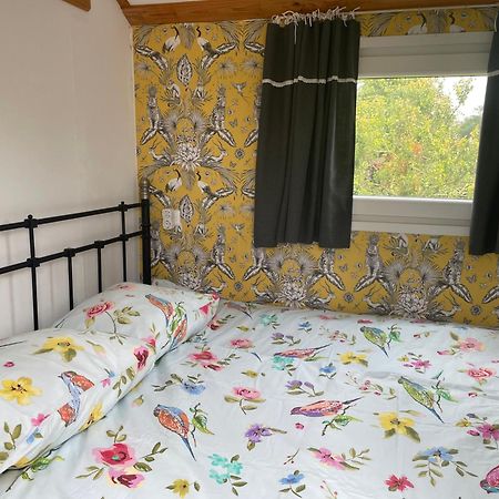 Bed and Breakfast Pipowagen Mamaloe Кестерен Екстер'єр фото